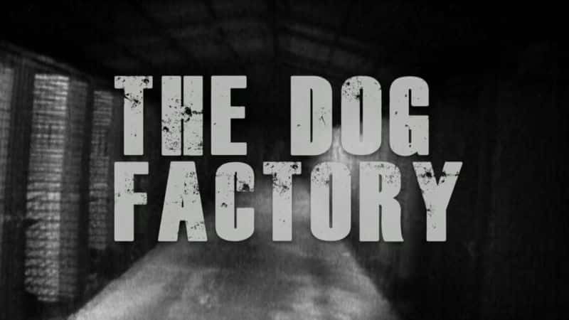 纪录片《狗工厂 The Dog Factory》全1集[社会问题][无字幕][1080P][MP4][BT][资源下载]