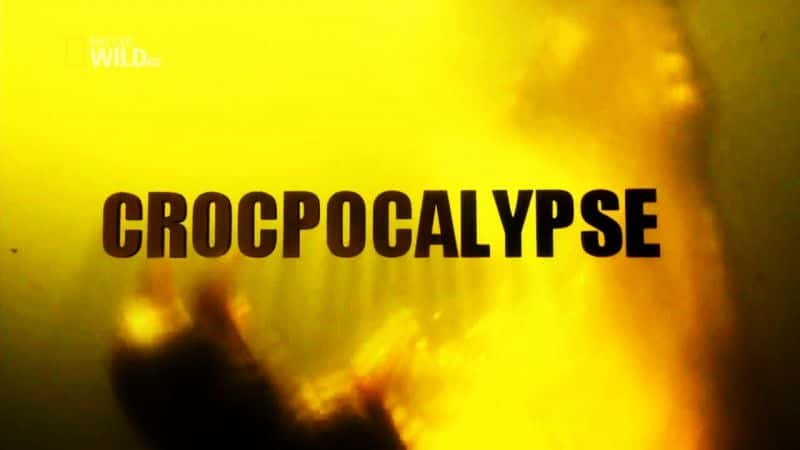 纪录片《鳄鱼末日 Crocpocalypse》[无字] [BT][DVD画质]资源下载