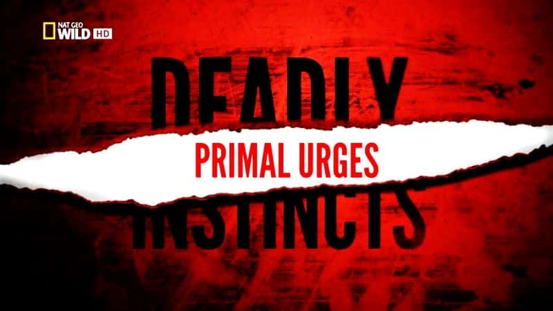 ¼Ƭܣԭʼ嶯 Deadly Instincts: Primal UrgesĻ/Ļ