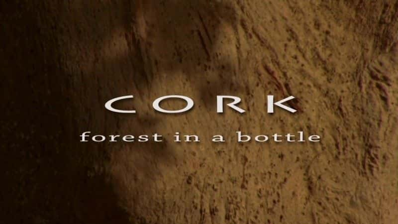 ¼ƬľҰһ Cork: On the Wild Sideȫ1-Ļ/Ļ