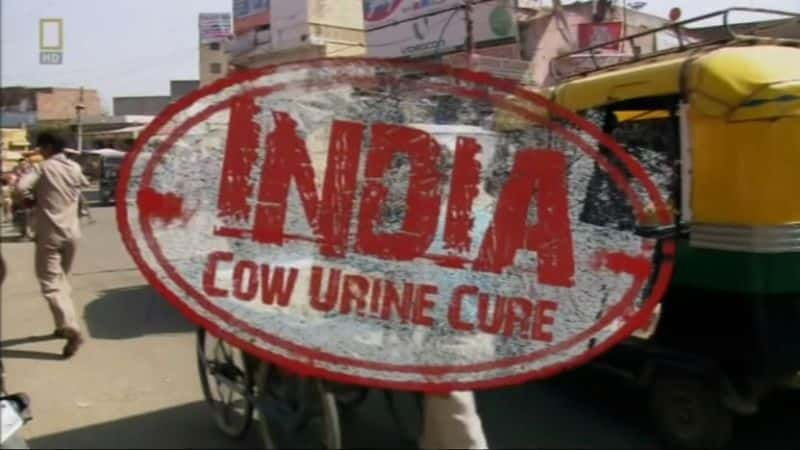 ¼ƬţƷ Cow Urine CureĻ/Ļ