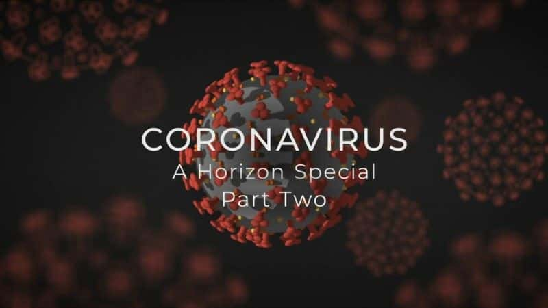 纪录片《冠状病毒特别部分 2 Coronavirus Special Part 2》[无字][BT][1080P][DVD]双画质资源下载