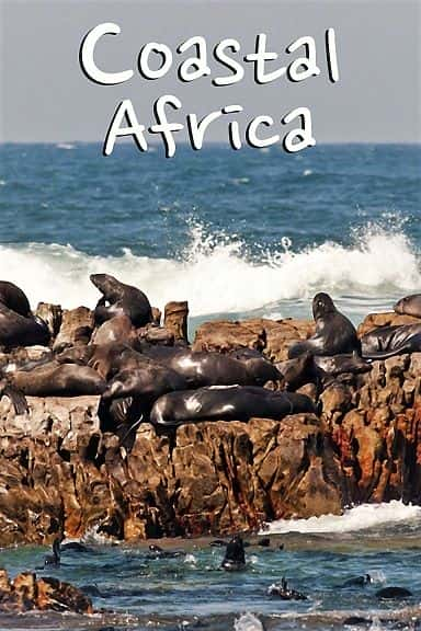 ¼Ƭغϵ 1 Coastal Africa: Series 11080P-Ļ/Ļ