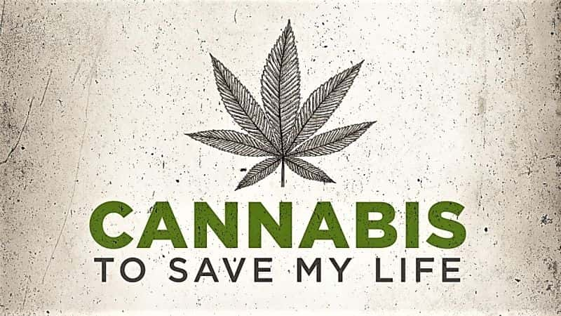 ¼Ƭҵ Cannabis to Save My LifeĻ/Ļ