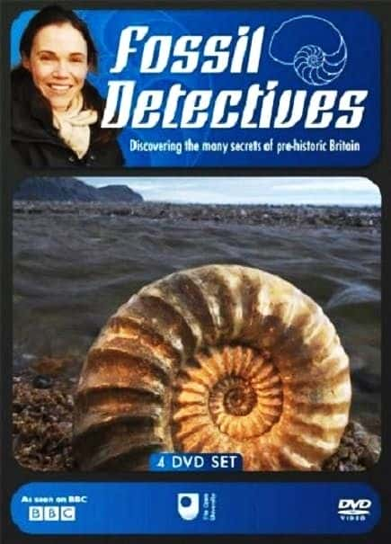 纪录片《化石侦探 Fossil Detectives》[无字] [BT][DVD画质]资源下载