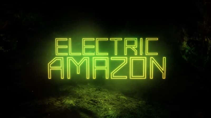 ¼Ƭ綯ѷ Electric Amazon1080P-Ļ/Ļ