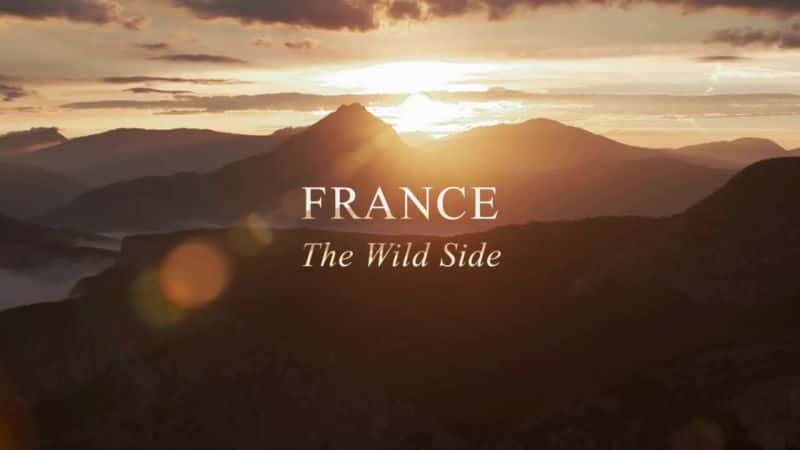 ¼ƬҰһ France: The Wild SideĻ/Ļ