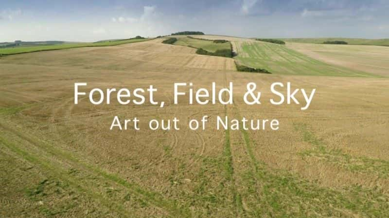 ¼ƬҰգȻ Forest Field and Sky: Art out of Nature1080Pȫ1-Ļ/Ļ