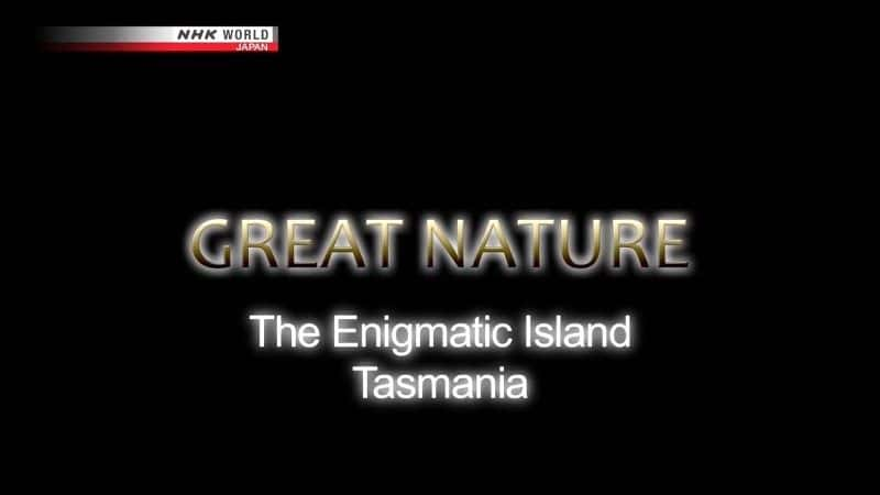 ¼Ƭصĵ죺˹ The Enigmatic Island: Tasmaniaȫ1-Ļ/Ļ