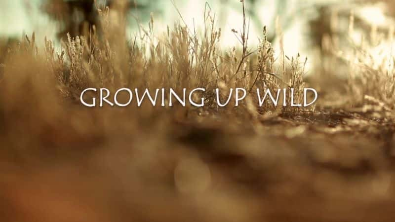 ¼ƬҰɳ Growing Up Wildȫ1-Ļ/Ļ