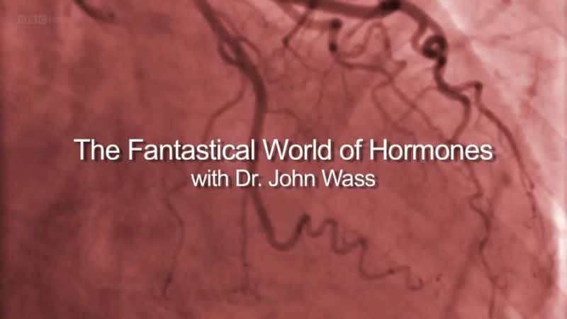 ¼Ƭɶɵ The Fantastical World of Hormones1080Pȫ1-Ļ/Ļ