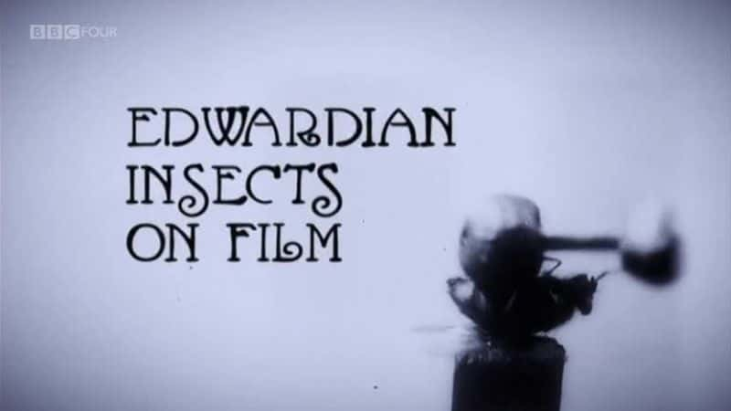 ¼ƬӰеİ» Edwardian Insects on Filmȫ1-Ļ/Ļ