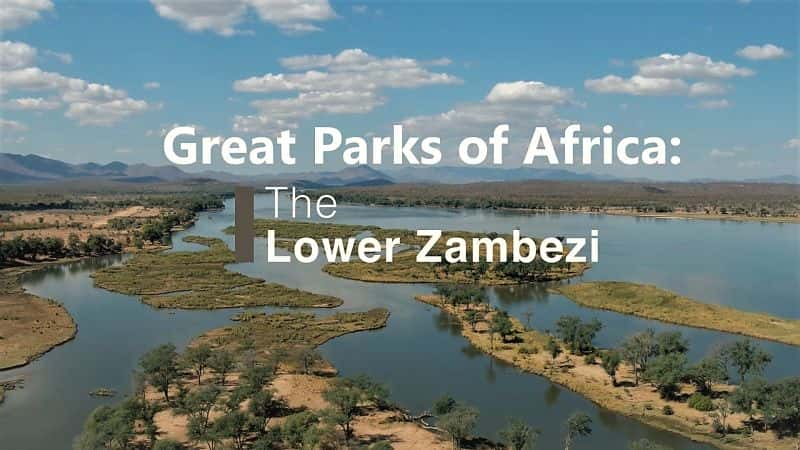 ¼ƬΰĹ԰ޱ Great Parks of Africa: The Lower Zambezi1080P-Ļ/Ļ