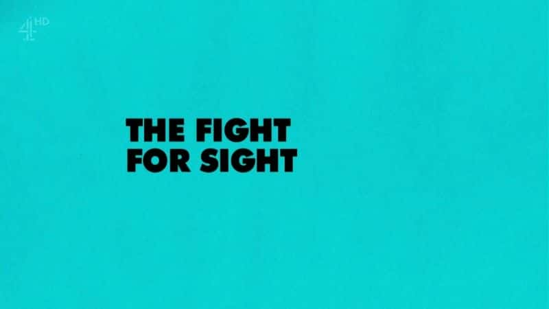 ¼ƬΪս The Fight for SightĻ/Ļ