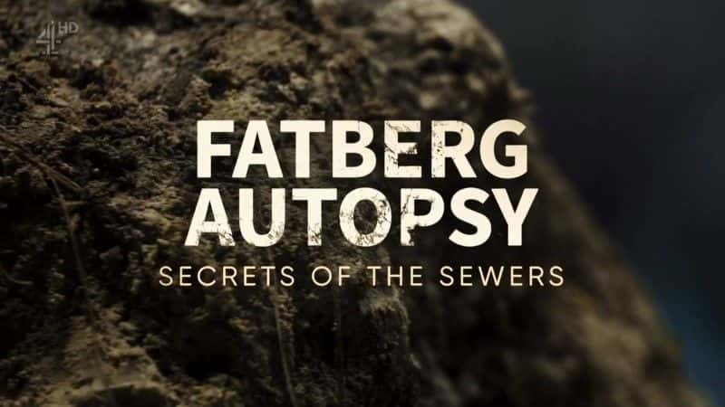 ¼Ƭزʬ Fatberg AutopsyĻ/Ļ