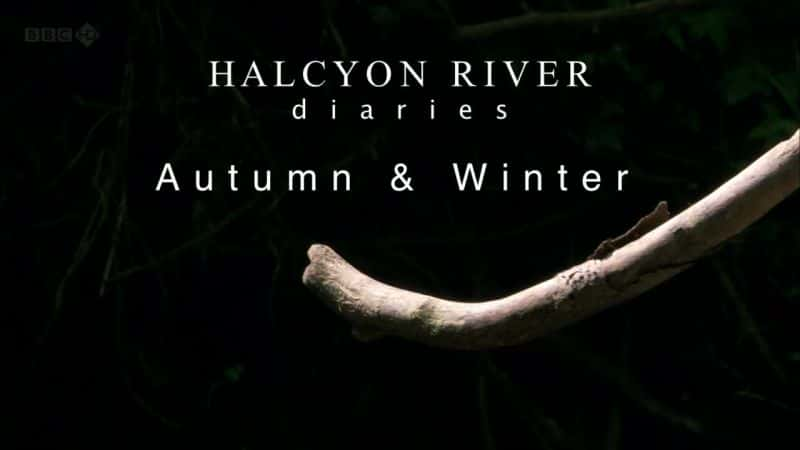 ¼Ƭռʥؼ Halcyon River Diaries Christmas Specialȫ1-Ļ/Ļ