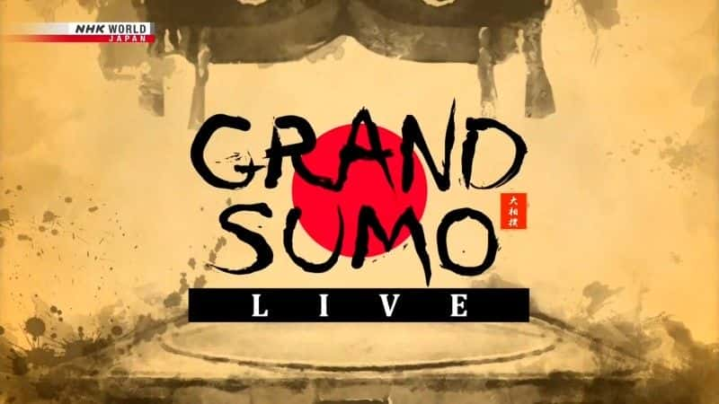 纪录片《大相扑现场直播：2021 年 1 月 Grand Sumo Live: January 2021》[无字][BT][DVD]资源下载