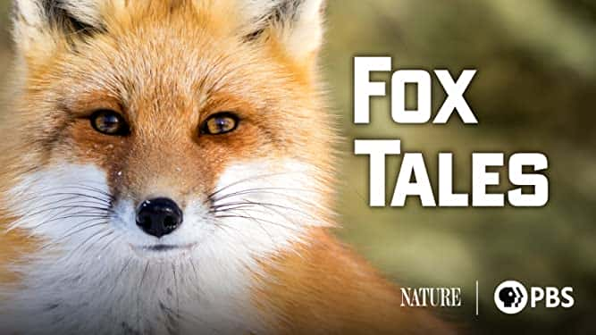 ¼Ƭ Fox Tales1080Pȫ1-Ļ/Ļ