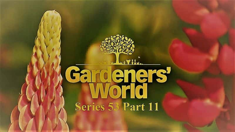 ¼Ƭ԰磺ϵ 53  11  Gardeners World: Series 53 Part 111080P-Ļ/Ļ