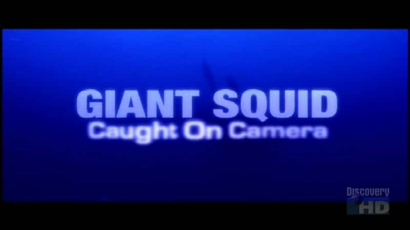 ¼Ƭ׽ Giant Squid: Caught on CameraĻ/Ļ