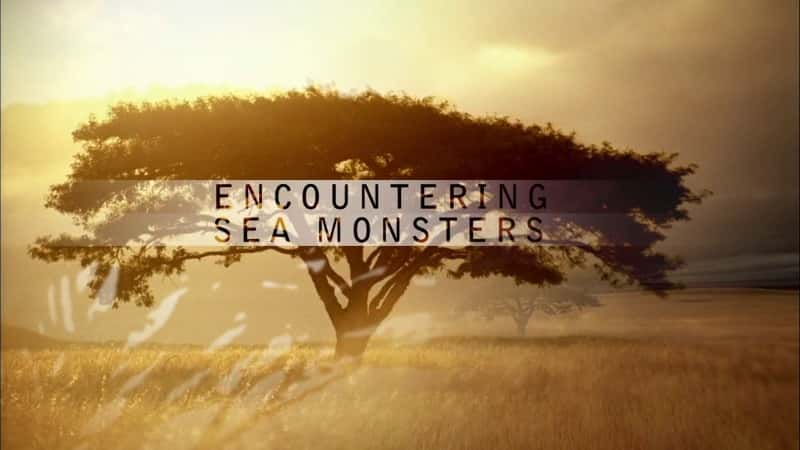 纪录片《遭遇海怪 Encountering Sea Monsters》[无字] [BT][DVD画质]资源下载