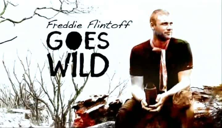 ¼Ƭ׵ϡз򷢿 Freddie Flintoff Goes Wildȫ4-Ļ/Ļ