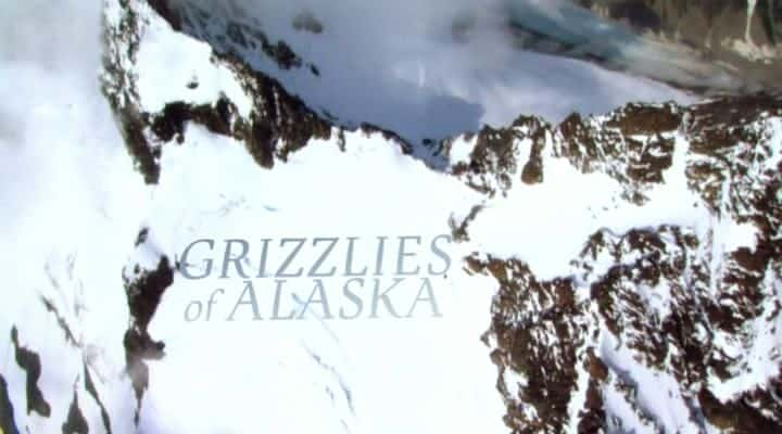 ¼Ƭ˹ӻܶ Grizzlies of Alaskaȫ1-Ļ/Ļ