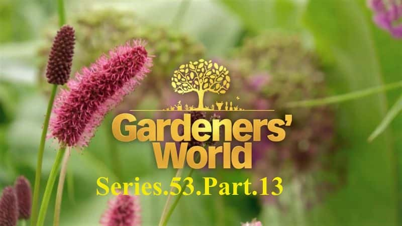 ¼Ƭ԰磺ϵ 53  13  Gardeners World:Series 53 Part 131080P-Ļ/Ļ