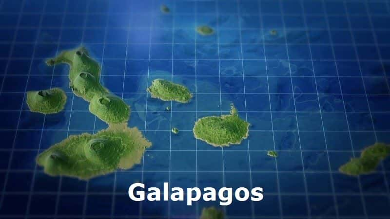 ¼Ƭ˹ȡ Galapagos With Liz Bonninȫ3-Ļ/Ļ