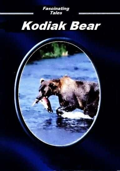 ¼Ƭ˵ĶƵǿ Fascinating Animals: Kodiak BearĻ/Ļ