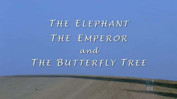 ¼Ƭ The Elephant Emperor and Butterfly TreeĻ/Ļ