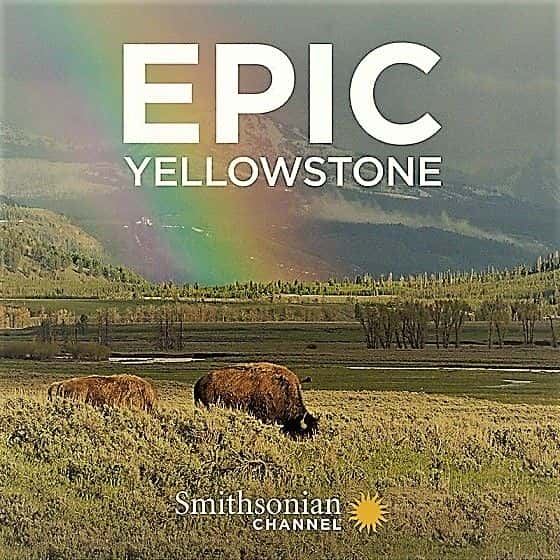 ¼Ƭʷʫʯ԰ϵ 1 Epic Yellowstone: Series 11080P-Ļ/Ļ