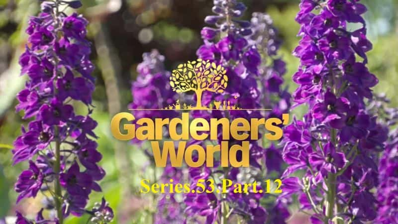 纪录片《园丁世界：系列 53 第 12 部分 Gardeners World: Series 53 Part 12》[无字][BT][1080P]资源下载