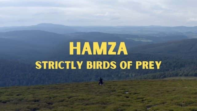 ¼Ƭķϸϵ Hamza: Strictly Birds of Prey1080Pȫ1-Ļ/Ļ