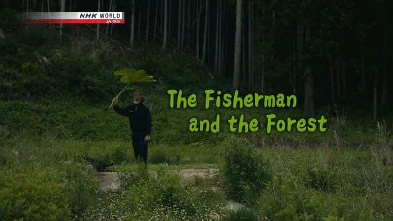 ¼Ƭɭ The Fisherman and the Forestȫ1-Ļ/Ļ