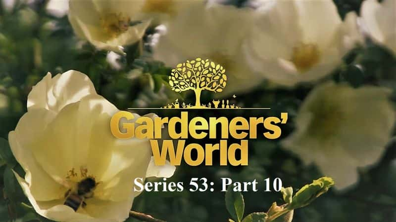 ¼Ƭ԰ϵ 53 10  Gardeners World Series 53: Part 101080P-Ļ/Ļ