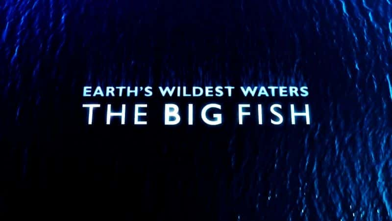 纪录片《地球上最狂野的水域：大鱼 Earth's Wildest Waters: The Big Fish》[无字] [BT][DVD画质]资源下载