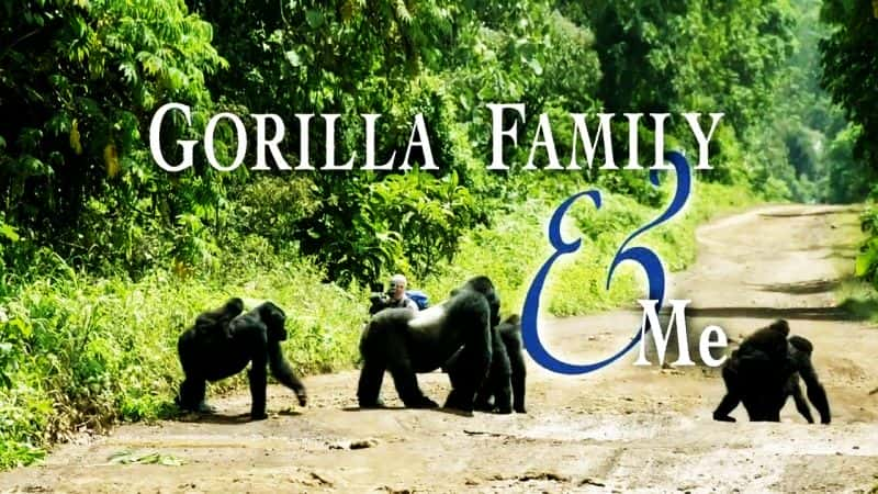 ¼Ƭɼ Gorilla Family and MeĻ/Ļ