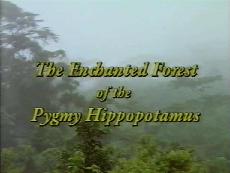 ¼Ƭ٪ħɭ The Enchanted Forest of the Pygmy HippopotamusĻ/Ļ