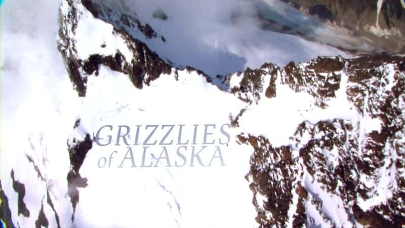 ¼Ƭ˹ӻܶ (BBC 1080p) Grizzlies of Alaska (BBC 1080p)1080Pȫ1-Ļ/Ļ