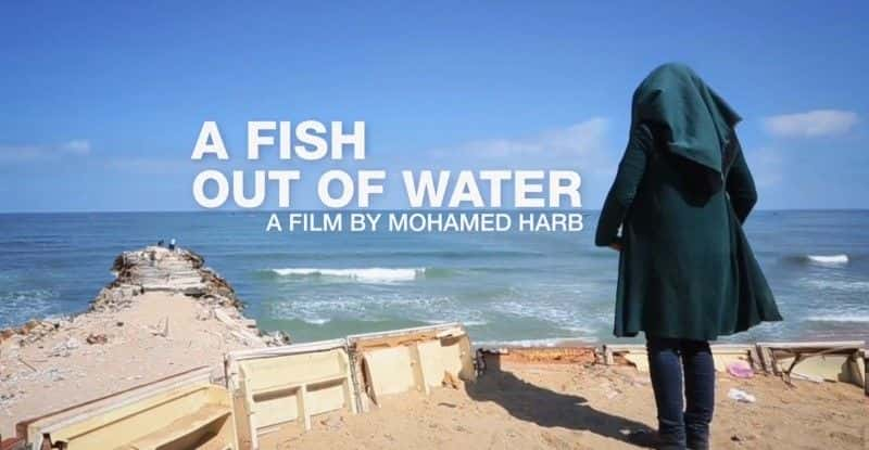 ¼Ƭ뿪ˮ A Fish Out of Waterȫ1-Ļ/Ļ