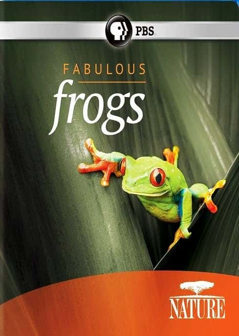 ¼Ƭ񻰰 Fabulous FrogsĻ/Ļ