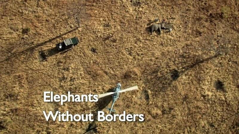 纪录片《大象无国界 Elephants Without Borders》[无字][BT][720P]资源下载