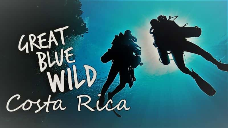 纪录片《Great Blue Wild：系列 1 第 14 部分 哥斯达黎加 Great Blue Wild: Series 1 Part 14 Costa Rica》[无字][BT][720P]资源下载