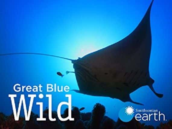 ¼ƬҰϵ 1 Great Blue Wild: Series 11080P-Ļ/Ļ