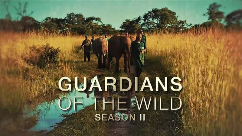 纪录片《荒野守护者：系列 2 Guardians of the Wild: Series 2》[无字][BT][DVD]资源下载