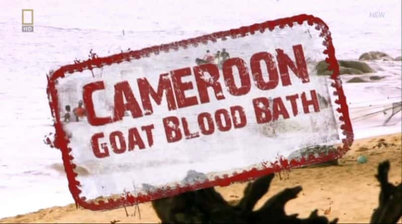 ¼ƬɽѪԡ Goat Blood BathĻ/Ļ