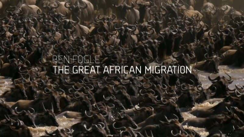 ¼Ƭ޴Ǩ The Great African Migrationȫ4-Ļ/Ļ