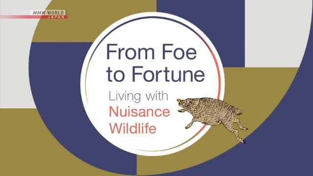 ¼Ƭӵ˵ƸҰﹲ From Foe to Fortune: Living with Nuisance Wildlife1080Pȫ1-Ļ/Ļ