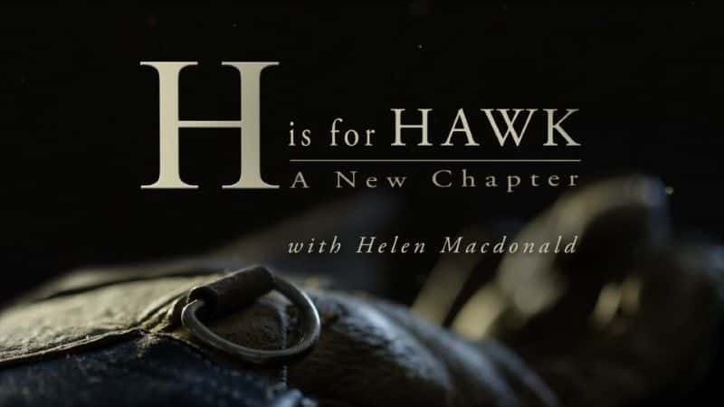 ¼ƬH ӥ (BBC) H is for Hawk (BBC)1080P-Ļ/Ļ